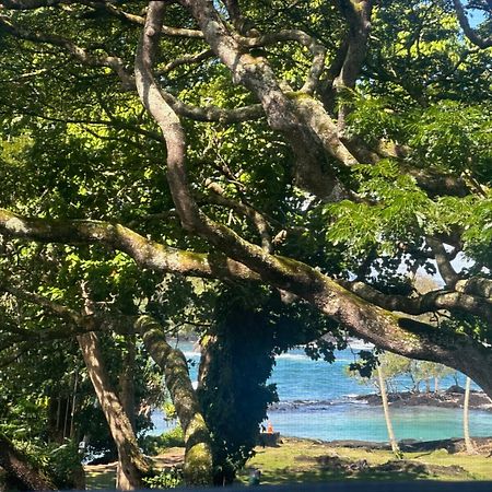 Ocean View Mauna Loa Shores Kai Ekahi #201 Next To Carlsmith Beach Park Hilo Hi Экстерьер фото