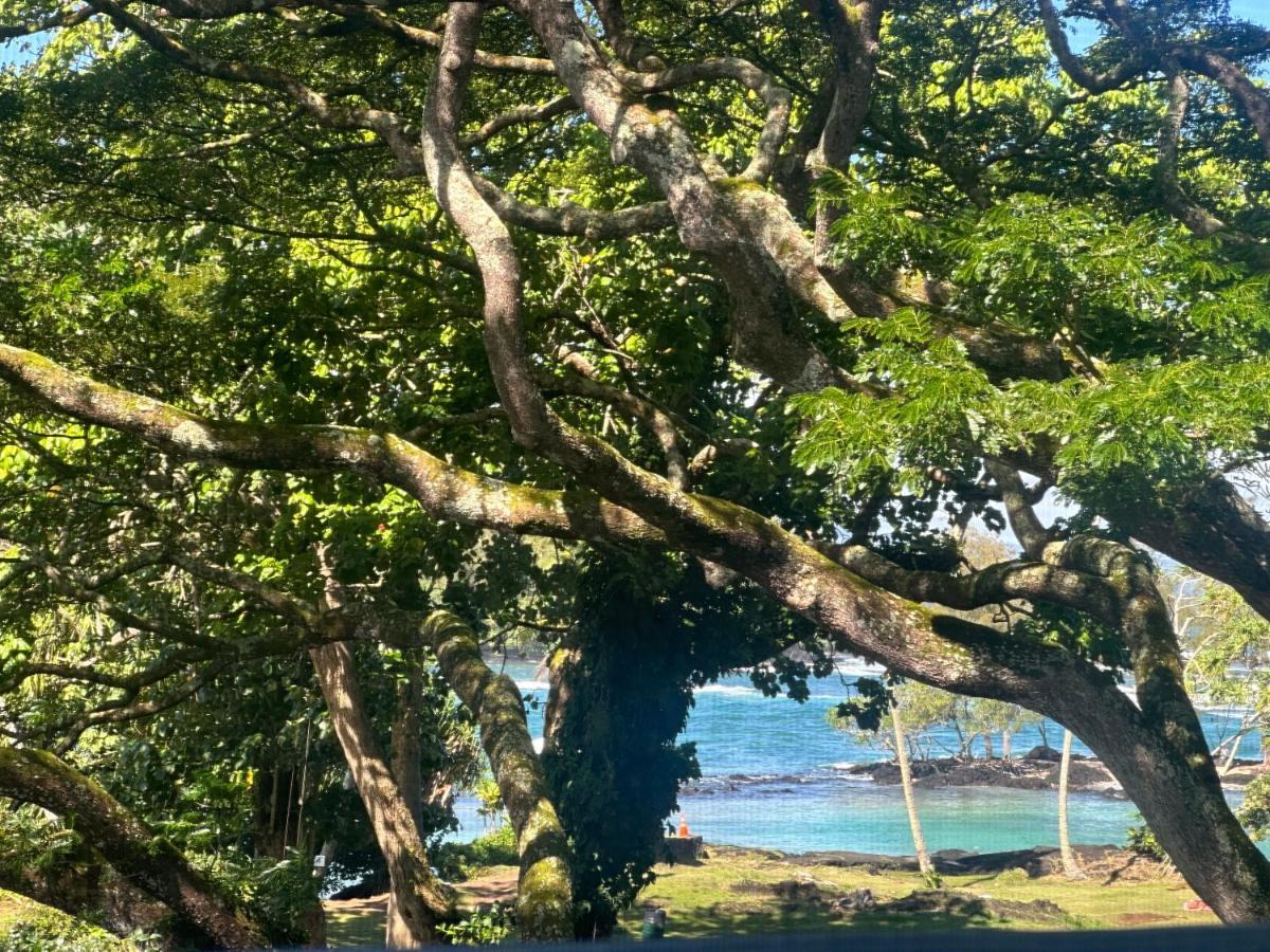 Ocean View Mauna Loa Shores Kai Ekahi #201 Next To Carlsmith Beach Park Hilo Hi Экстерьер фото
