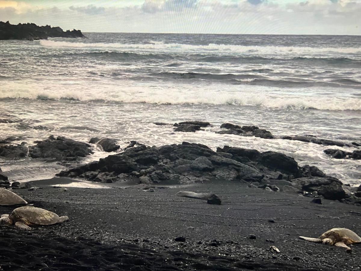 Ocean View Mauna Loa Shores Kai Ekahi #201 Next To Carlsmith Beach Park Hilo Hi Экстерьер фото