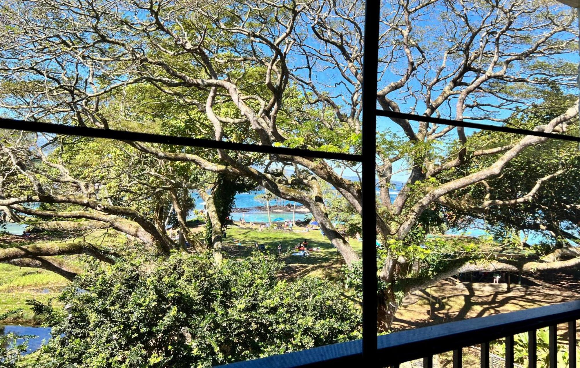 Ocean View Mauna Loa Shores Kai Ekahi #201 Next To Carlsmith Beach Park Hilo Hi Экстерьер фото